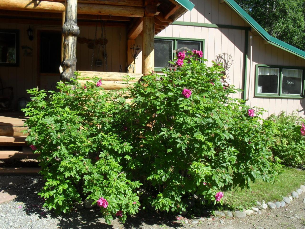 Alaska'S Northland Inn Trapper Creek Екстериор снимка